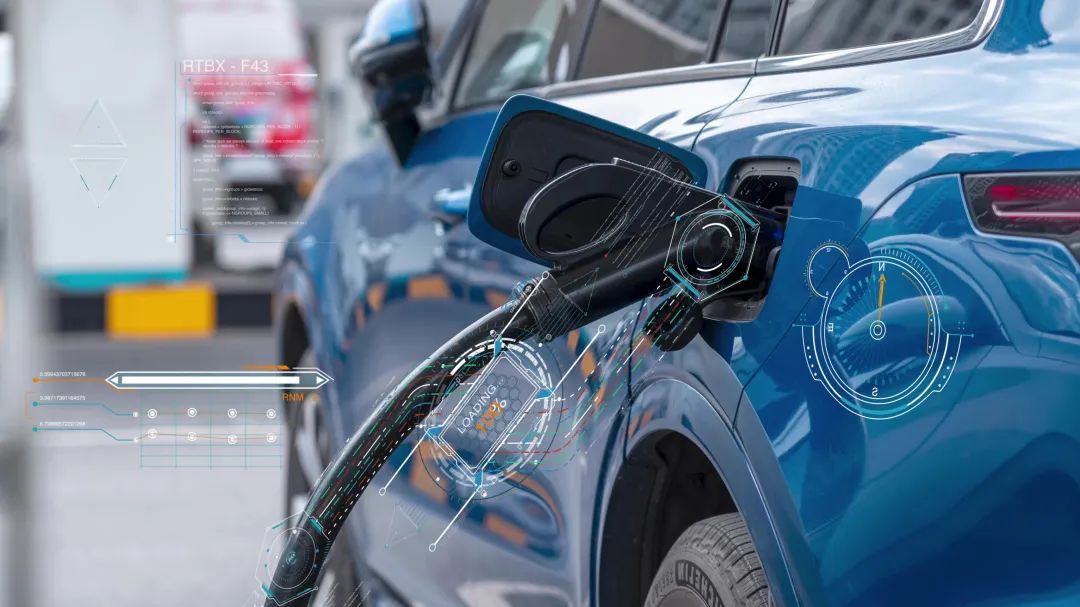 20230601071636.jpg 5.jpg