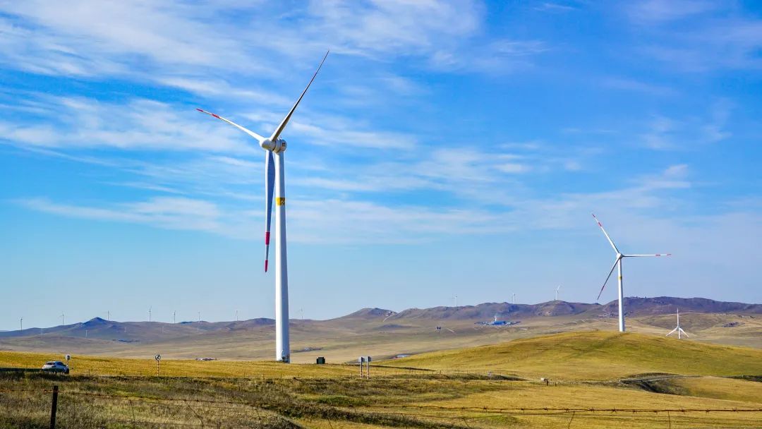 20230601091099.jpg 7.jpg